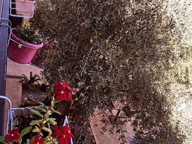 Bella Casetta Guest House Famagusta  Esterno foto