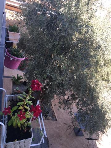 Bella Casetta Guest House Famagusta  Esterno foto